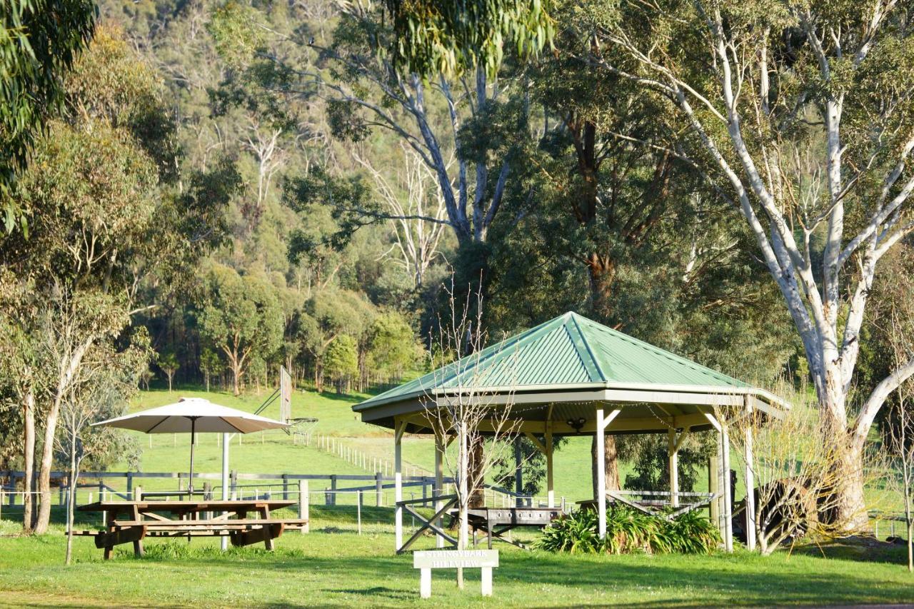 Strath Creek Halls On Falls Homestead מראה חיצוני תמונה